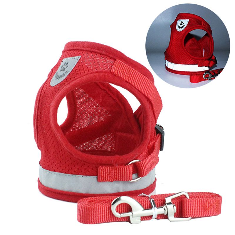 Pets Collar Leash Dog Rope Pet Chain