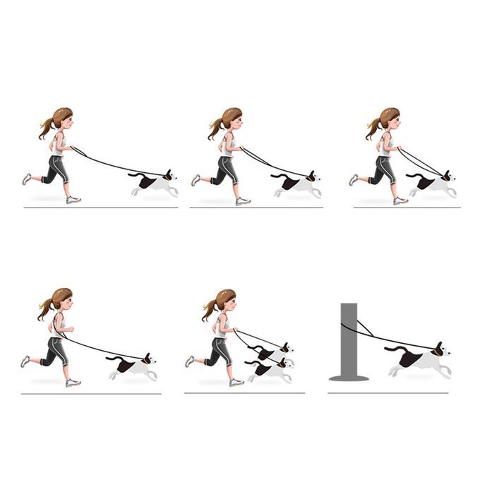 Heavy Duty Dog Leash Traffic Handle Dog Rope Leash For Control Safety