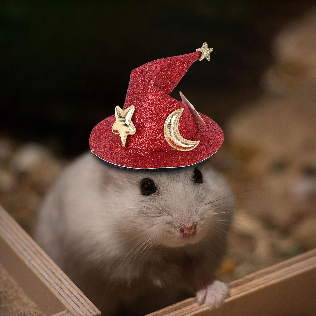 Pet Hats Funny  Headwear Plush Headgear With Red