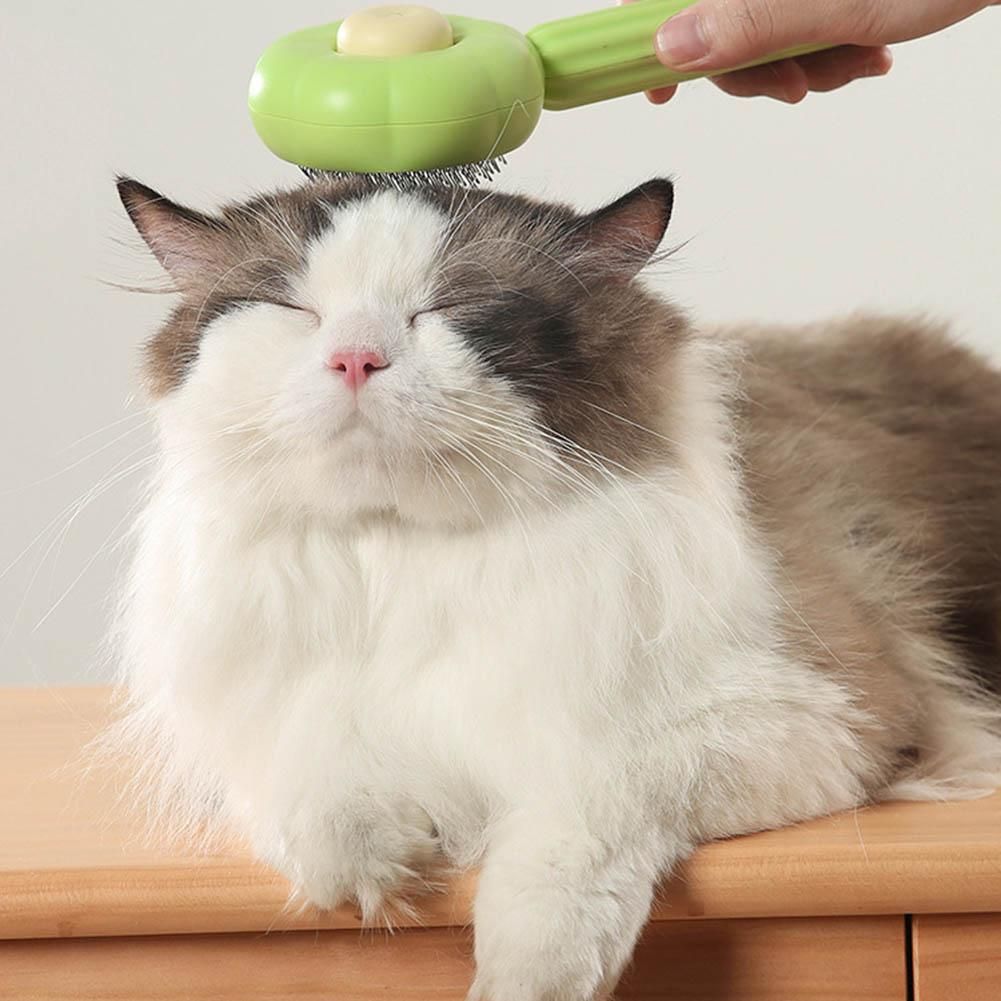 Pet Brush Self Cleaning Slicker Brush for Shedding Dog