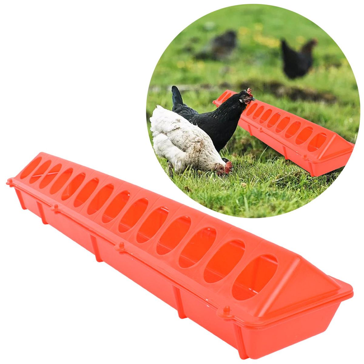 Flip-Top Poultry Feeder Waterer Water Drinker Birds Feeding Trough For