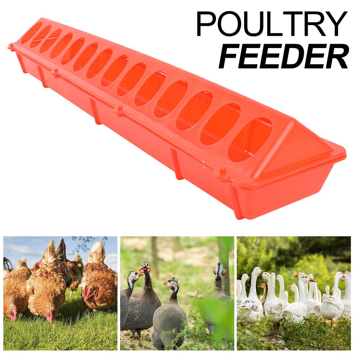 Flip-Top Poultry Feeder Waterer Water Drinker Birds Feeding Trough For