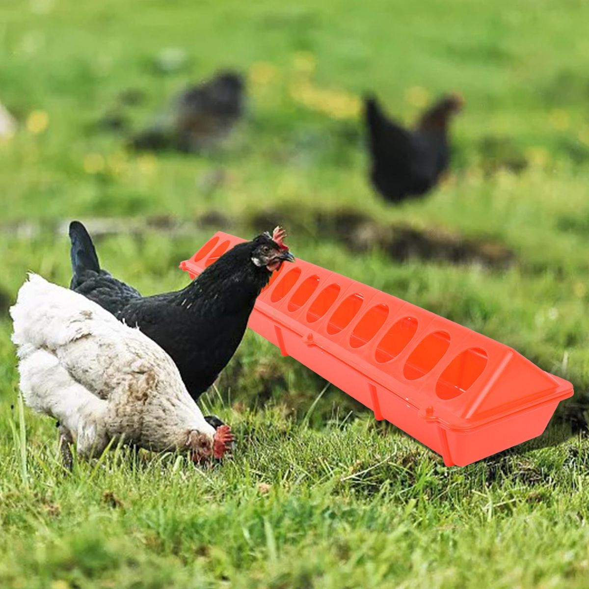 Flip-Top Poultry Feeder Waterer Water Drinker Birds Feeding Trough For