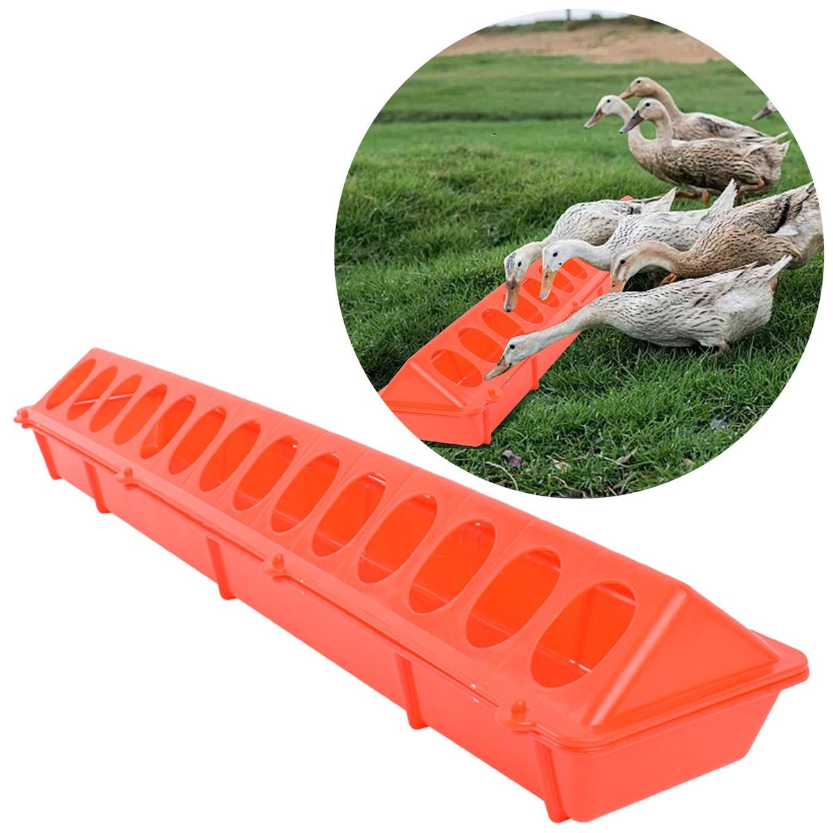 Flip-Top Poultry Feeder Waterer Water Drinker Birds Feeding Trough For