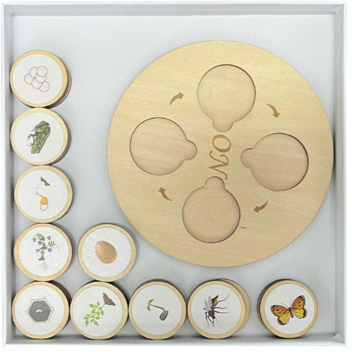 1 Set Animal Life Cycle Toy Plant Life Cycle Puzzle Model Kit Early Learning Toy
