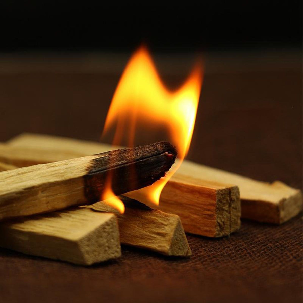 Natural Palo Santo Smudging Sticks, 1pc, Real Holy Wood  Sticks
