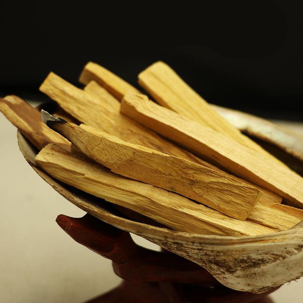Natural Palo Santo Smudging Sticks, 1pc, Real Holy Wood  Sticks