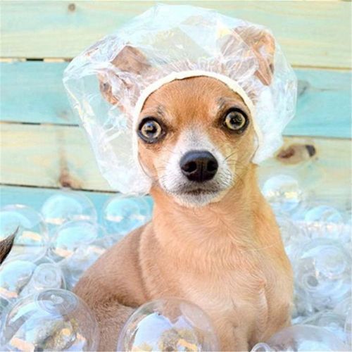 100 Pieces Of Shower Cap
