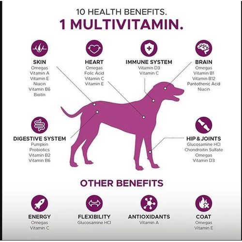 10-for-1 Multivitamin For Dog 90 Count Chicken Flavor