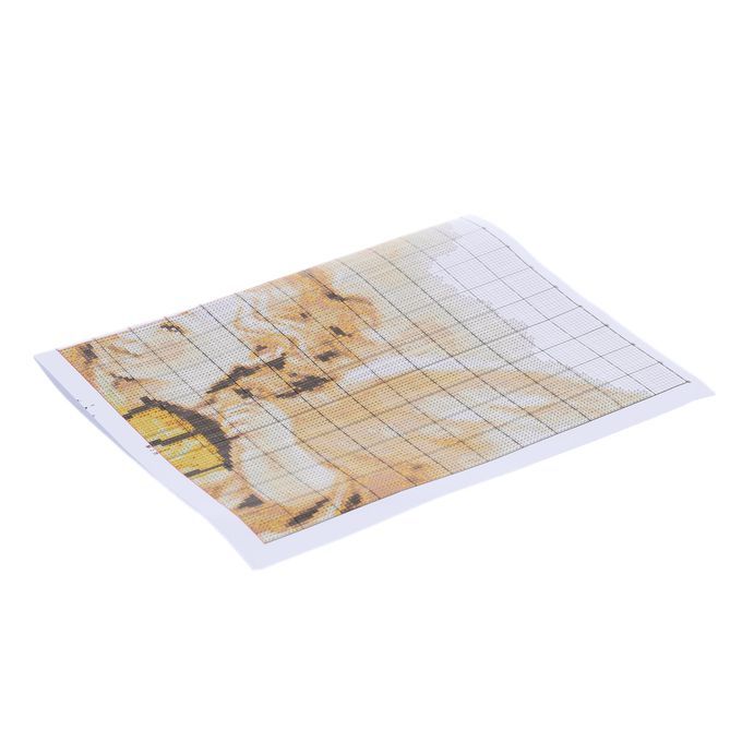 55 * 43cm DIY Handmade Counted Cross Stitch Set Embroidery N