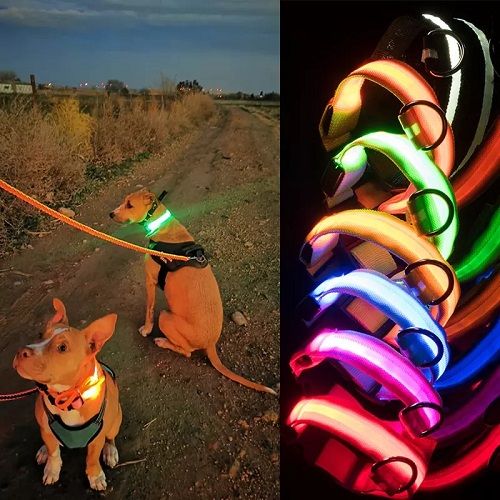 Rechargeable Bright LED Dog Collars-Glow In The Dark Collars