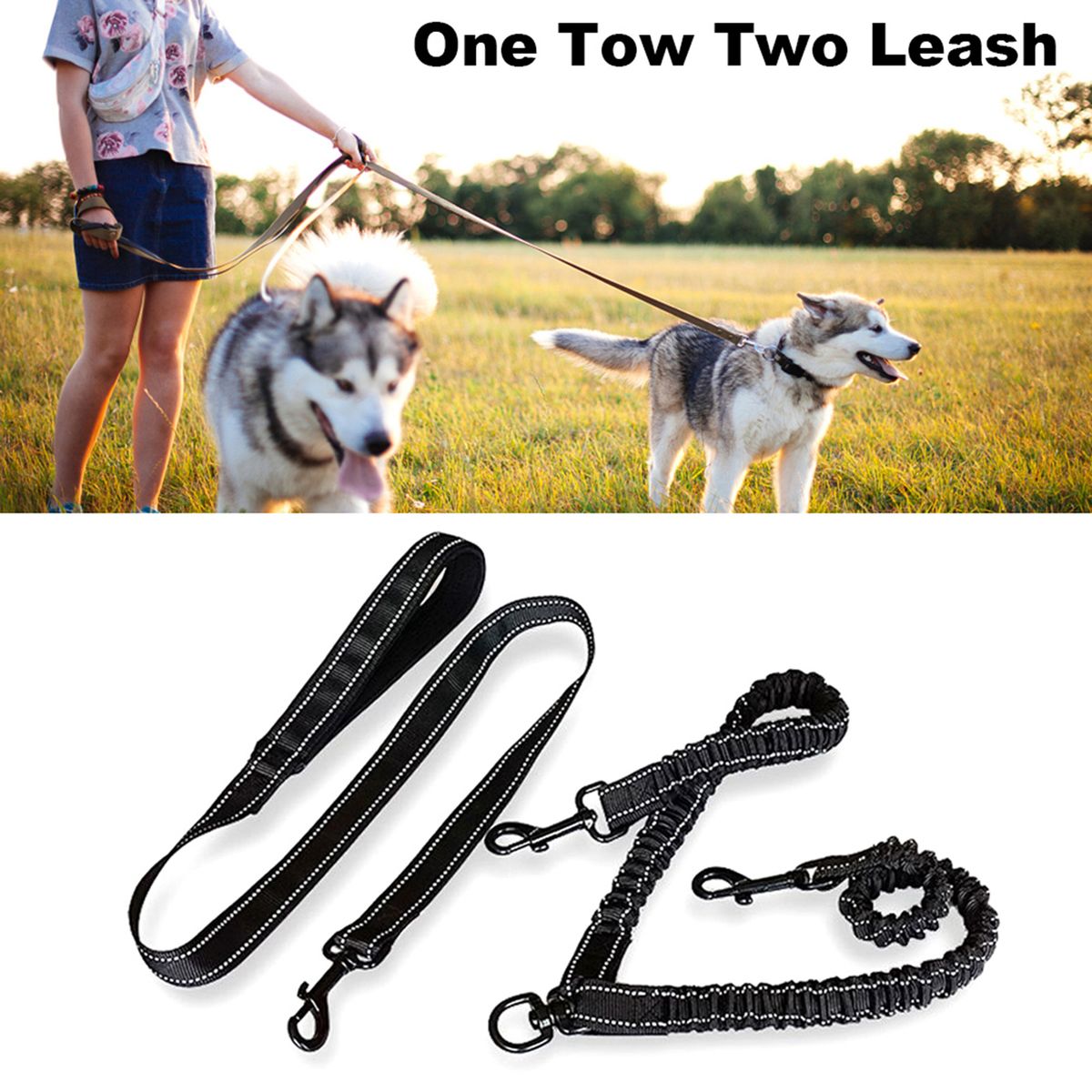 One Tow Two Leash 2 Dog Rope Elastic Cushion Dog Leash Dog