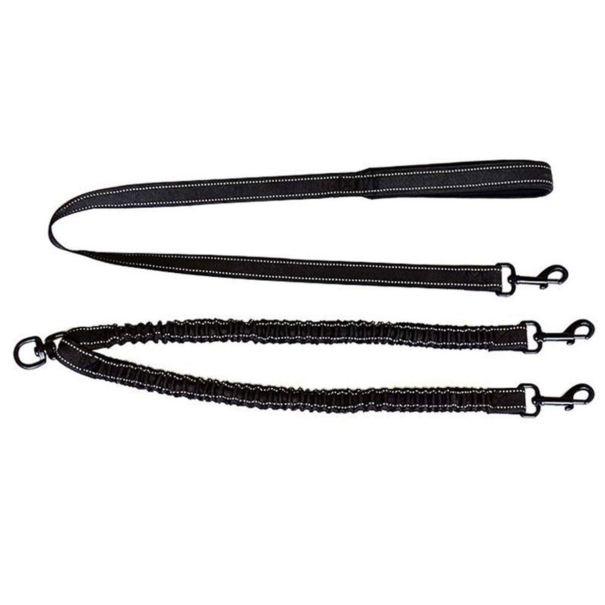 One Tow Two Leash 2 Dog Rope Elastic Cushion Dog Leash Dog