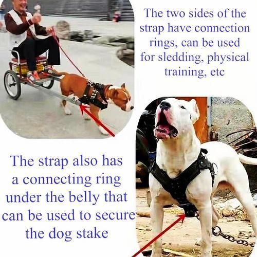 Dog Harness For Large Dog,Pit Bull Dog Harness Large Dog Leash Dog Vest Collar Pet Products Accessories