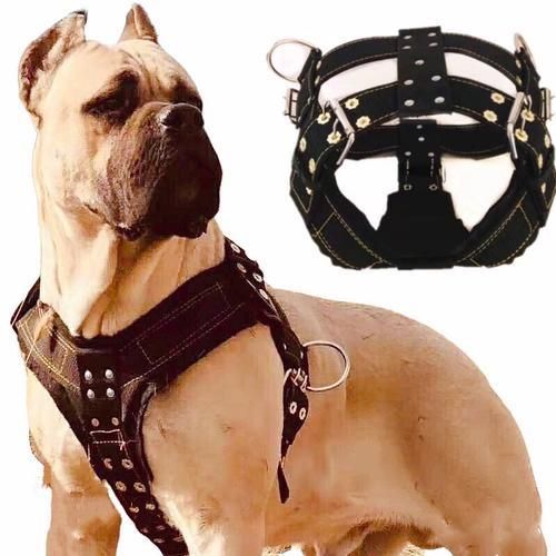 Dog Harness For Large Dog,Pit Bull Dog Harness Large Dog Leash Dog Vest Collar Pet Products Accessories