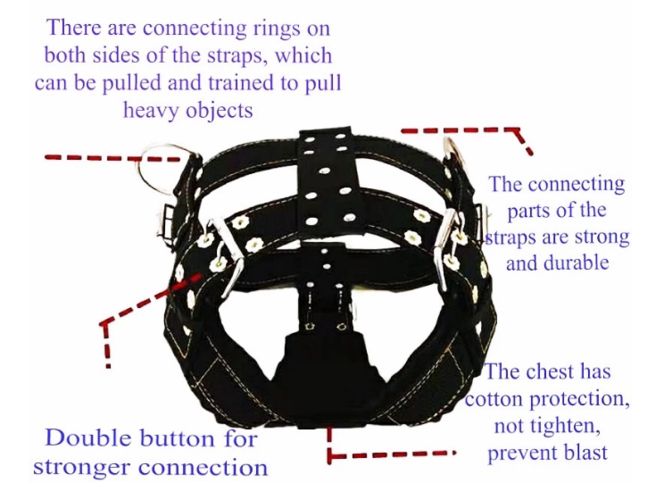 Dog Harness For Large Dog,Pit Bull Dog Harness Large Dog Leash Dog Vest Collar Pet Products Accessories
