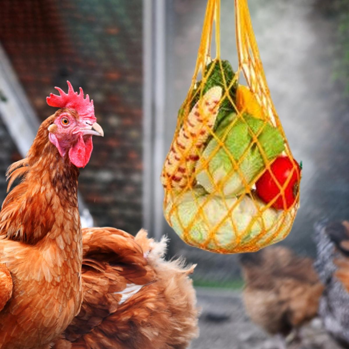 Chicken Vegetable String Bag Feeding Tool With Hook Hanger For Yellow