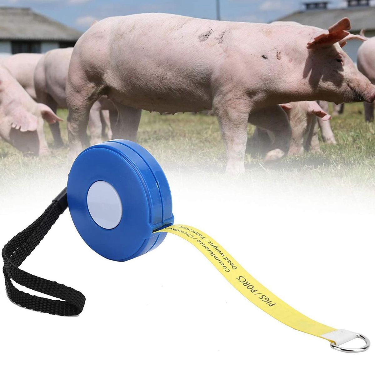 Weight Measure   For Body Measurements Equipment