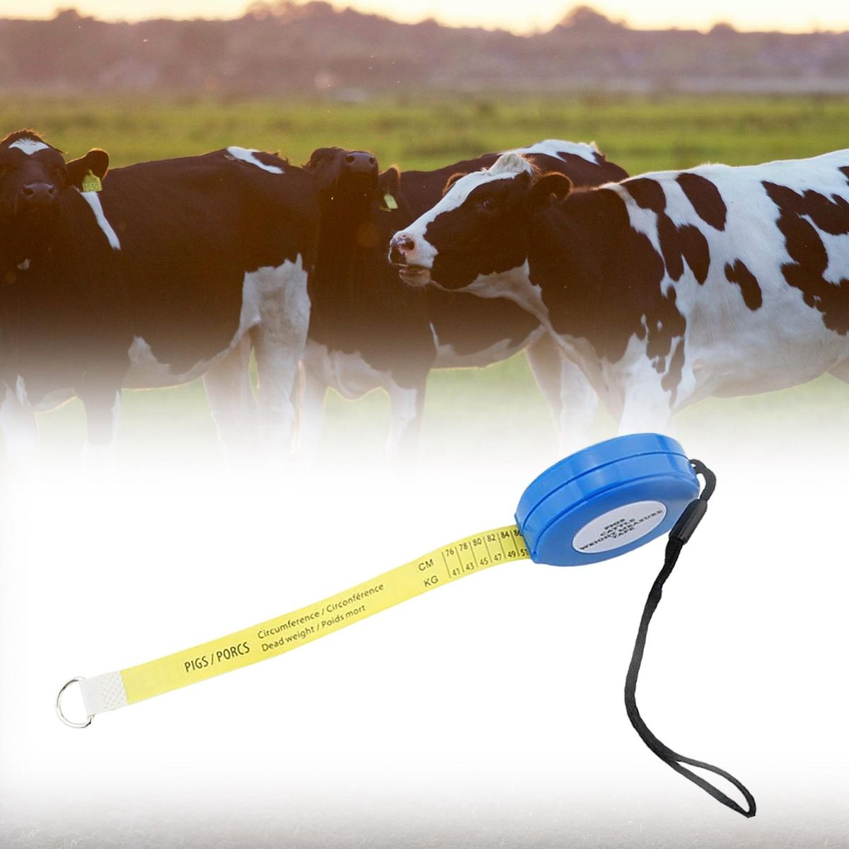 Weight Measure   For Body Measurements Equipment