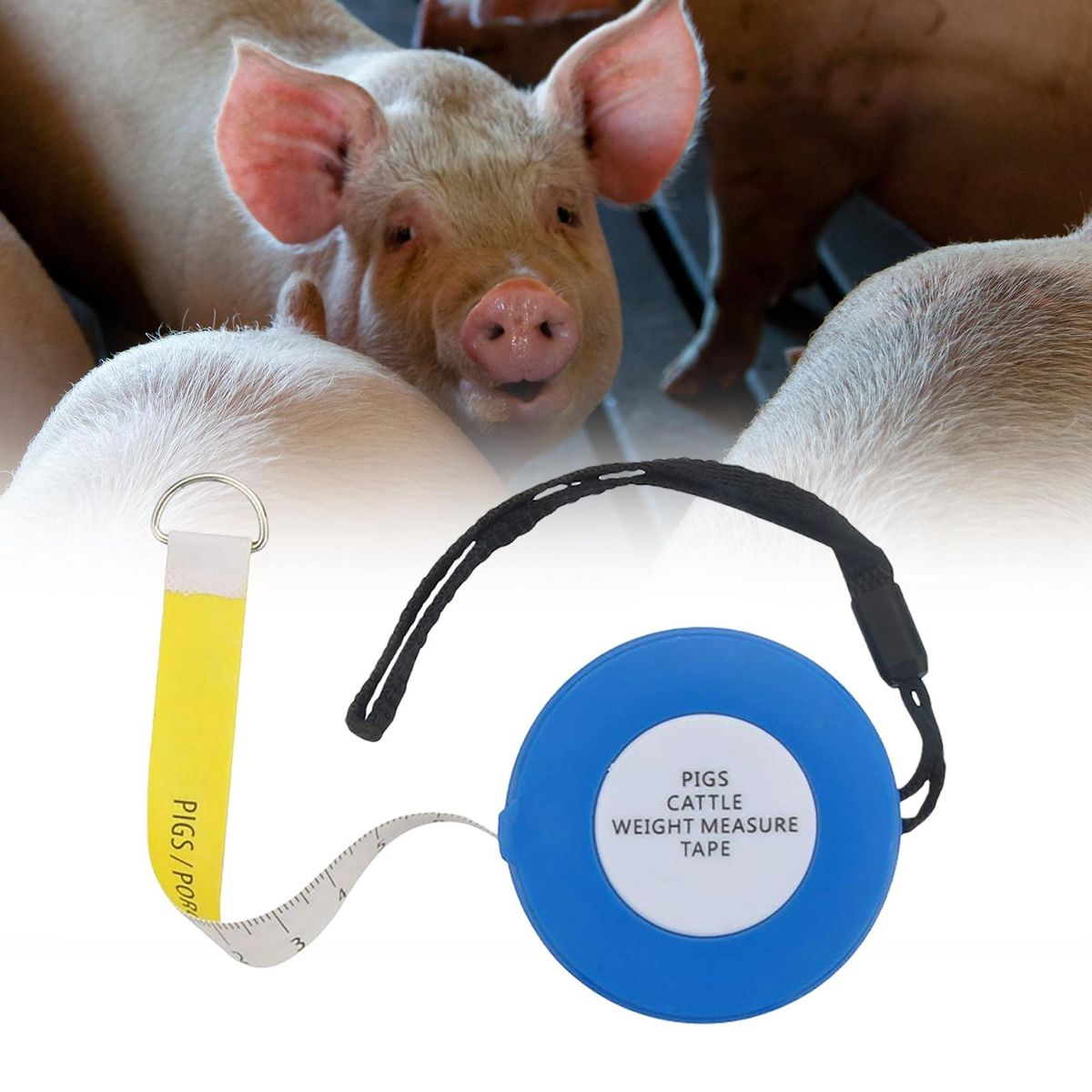 Weight Measure   For Body Measurements Equipment