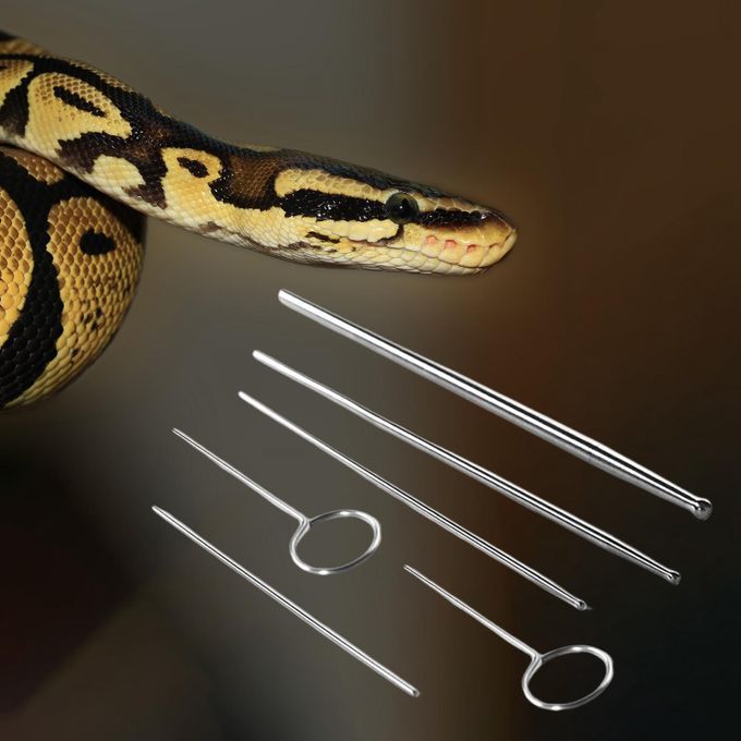 Set Of 6 Snake Gender Detector Kit Easy To Carry Compact Premium With