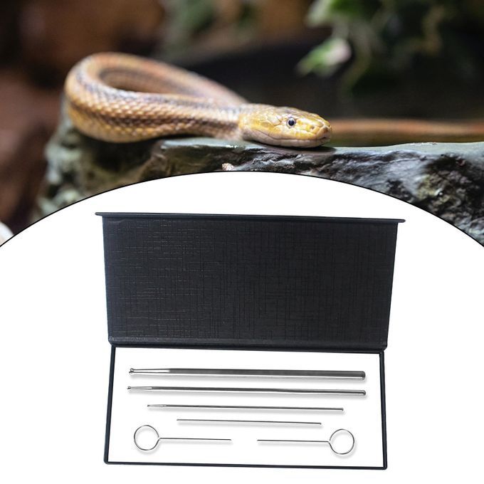 Set Of 6 Snake Gender Detector Kit Easy To Carry Compact Premium With
