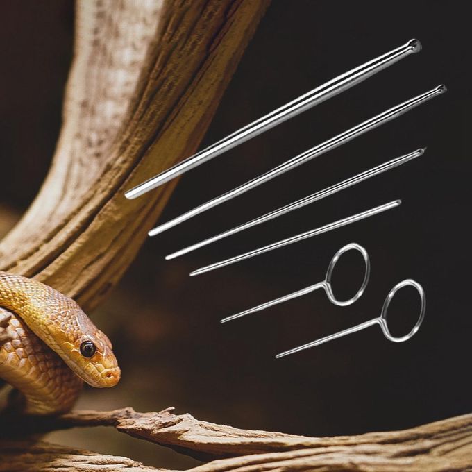 Set Of 6 Snake Gender Detector Kit Easy To Carry Compact Premium With