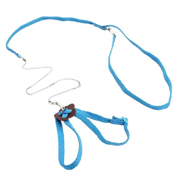 Fashion Adjustable Pet Lizard Cabrite Dragon Leash Harness Lead Blue