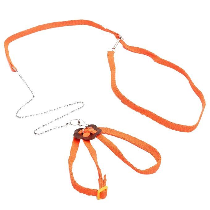 Fashion Adjustable Pet Lizard Cabrite Dragon Leash Harness Lead Orange