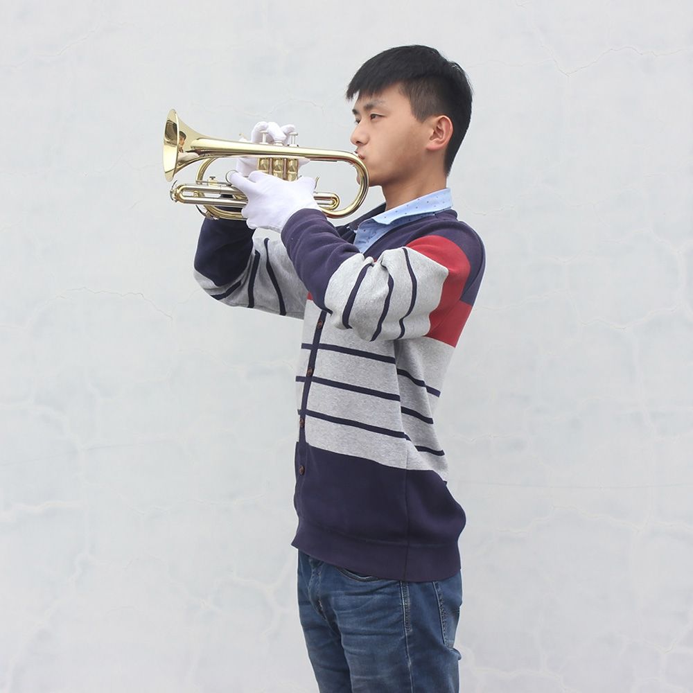 Professional Bb Flat Cornet Brass Instrument With Carrying