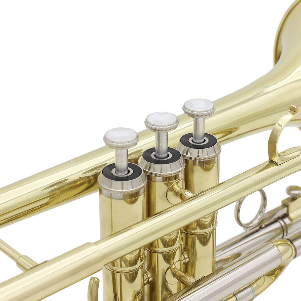 Professional Bb Flat Cornet Brass Instrument With Carrying
