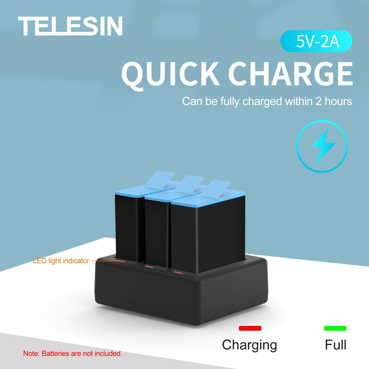 TELESIN GP-BCG-902 Camera Battery Charger Replacement for GoPro HERO 9 Camera