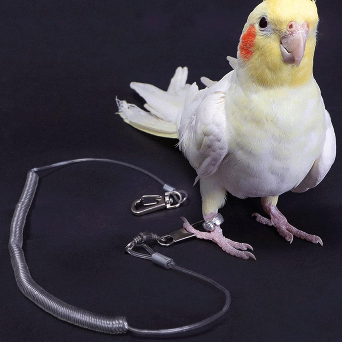 Bird Traction Strap Bird Parrot Traction Leash Bird Harness