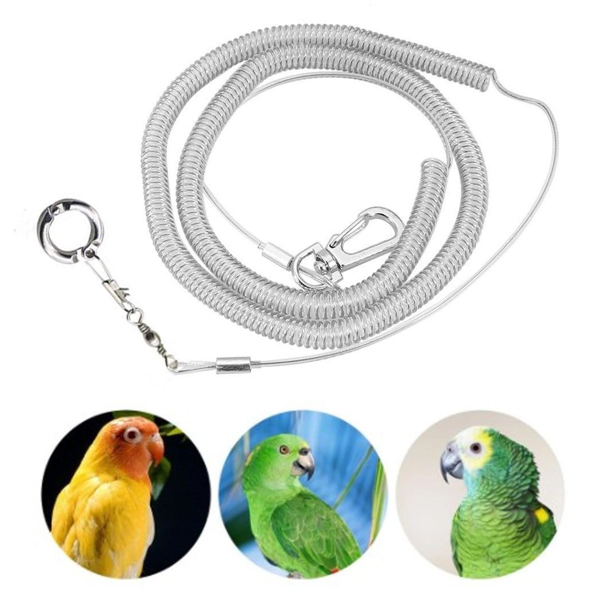 Bird Traction Strap Bird Parrot Traction Leash Bird Harness