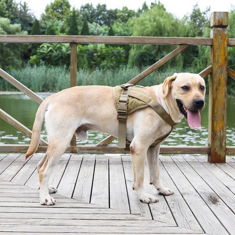 Large And Medium-Sized Dog Vest-Style Chest Harness,S