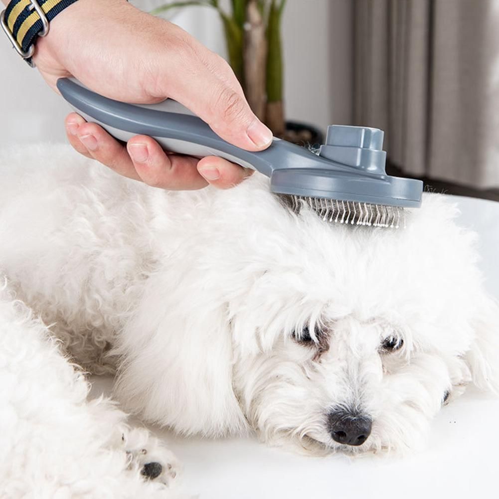 High Quality Pet Comb Self Cleaning Brush Professional