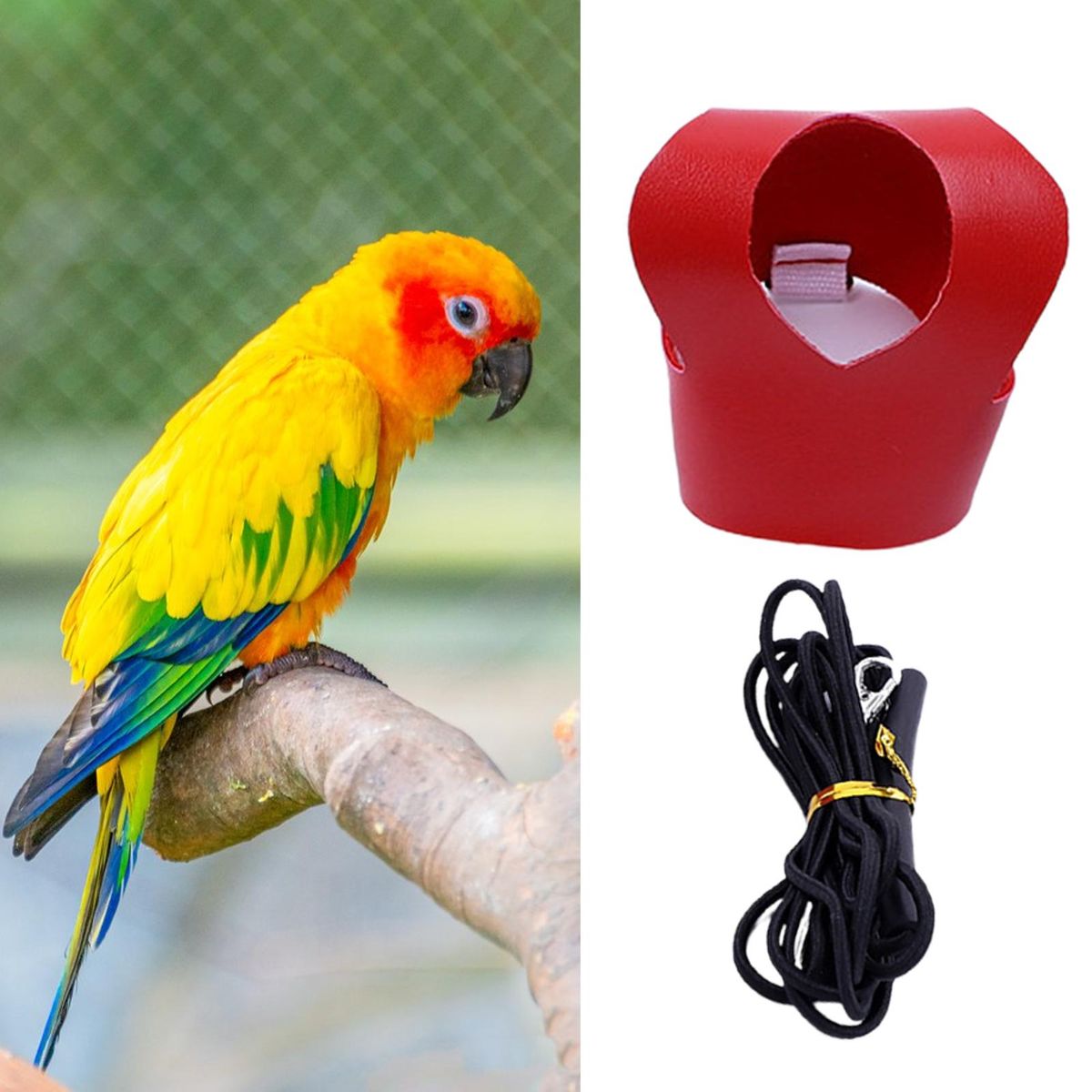 Bird Harness Parrot Bird Harness Leash Flying Rope Red