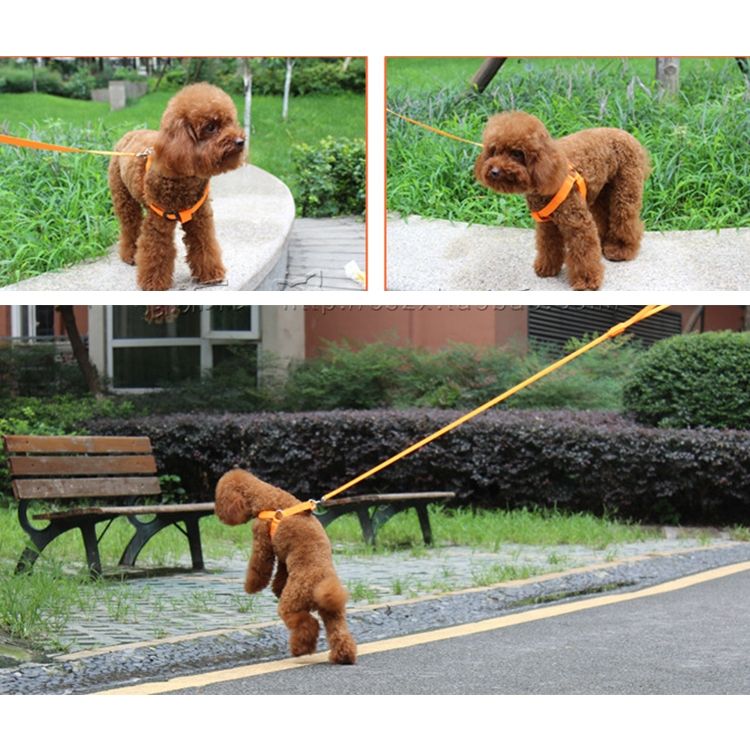 LED Light Pet Harness Nylon Cat Dog Chest Strap Leash,