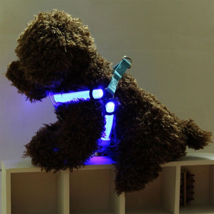 LED Light Pet Harness Nylon Cat Dog Chest Strap Leash,