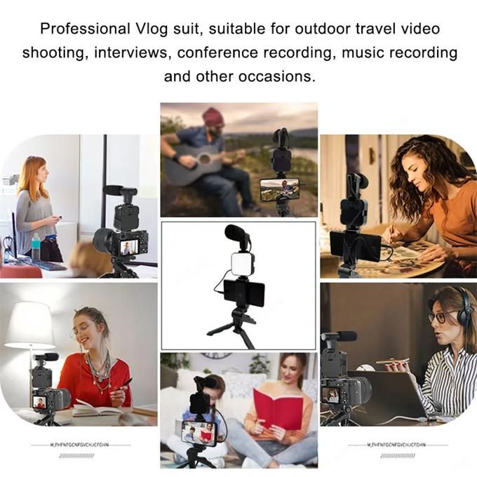 Smartphone video kit Microphone Video light Mobile phone holder LED Selfie tripod Bluetooth recording handle Portable stabilizer