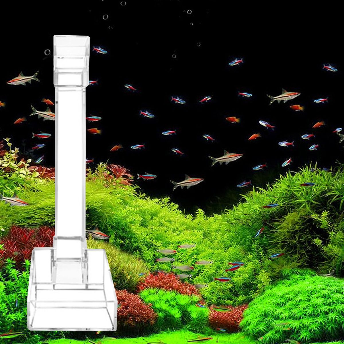 Fish Tank Feeder Aquarium Fish Tank Feeding Tube Pipe