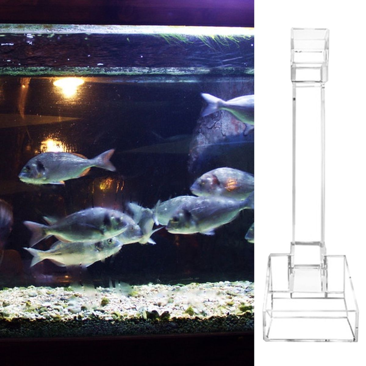 Fish Tank Feeder Aquarium Fish Tank Feeding Tube Pipe