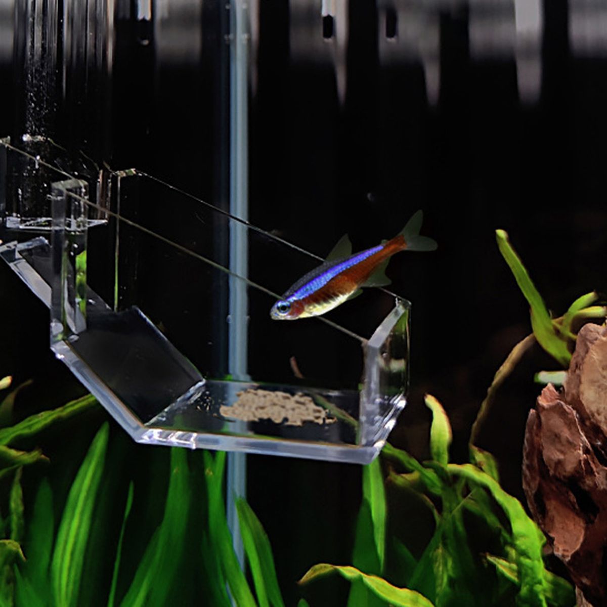 Fish Tank Feeder Aquarium Fish Tank Feeding Tube Pipe