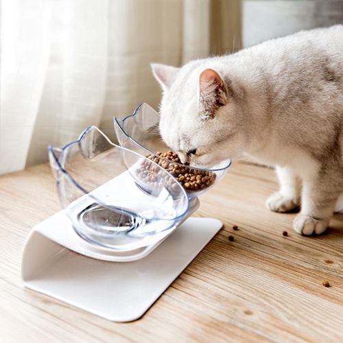 Double Bowl Dog Cat Feeder Elevated Stand Raised Dish Feedi