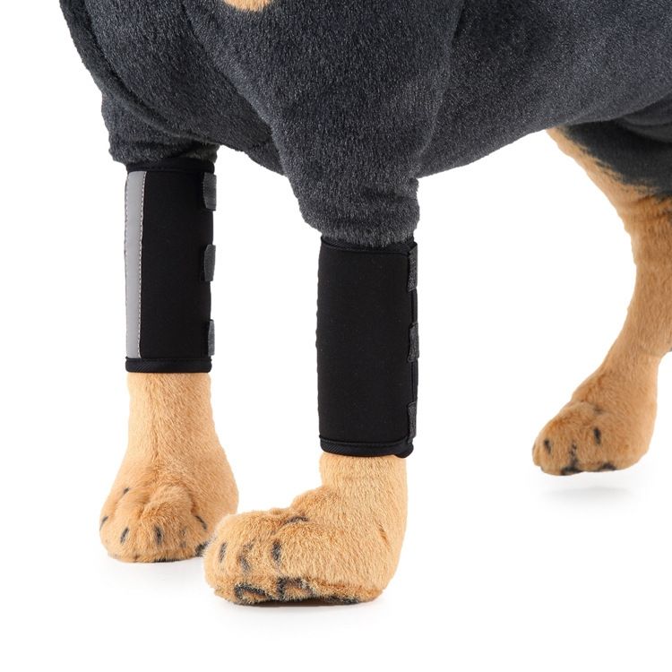 Pet Knee Protector, Size: M