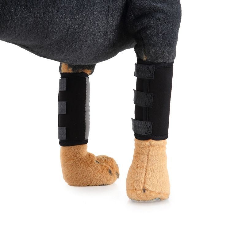 Pet Knee Protector, Size: M
