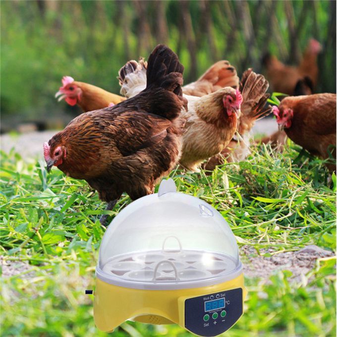 Eggs Digital Automatic Incubator Chicken Hatching Machine