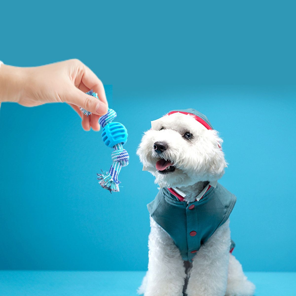 Dogs Toy Tooth Cleaning Indestructible Solid Core Elastic Ball Blue