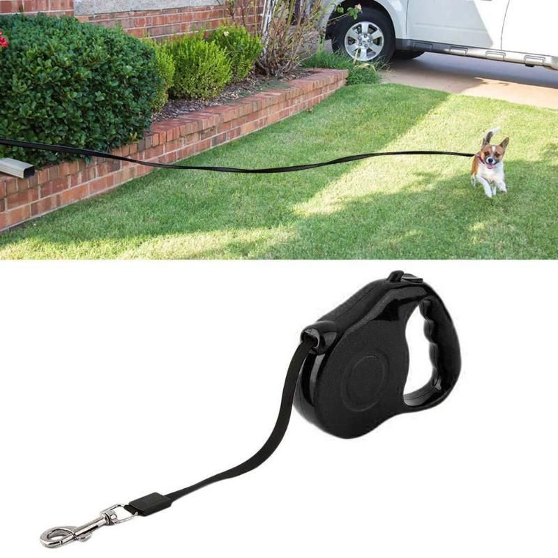 Dog Walking Lead Chain