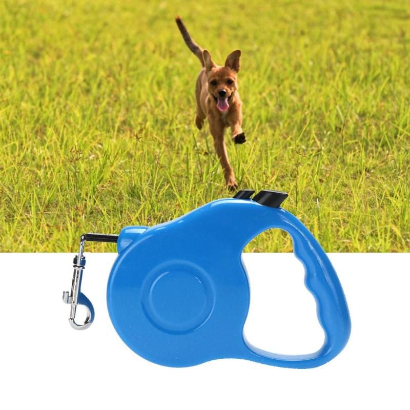Dog Walking Lead Chain